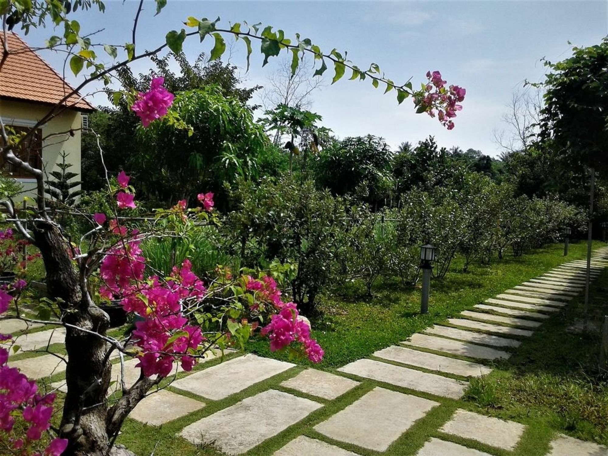 Spring Garden Homestay Phu Quoc Buitenkant foto