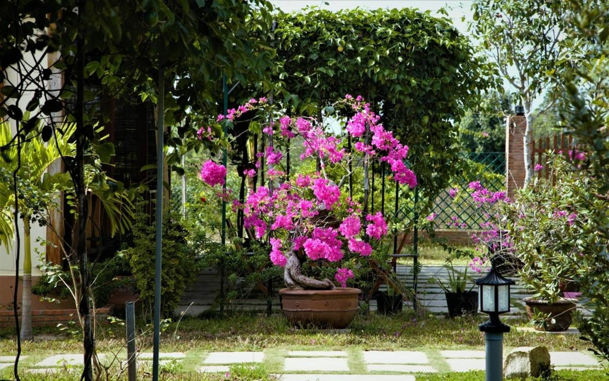 Spring Garden Homestay Phu Quoc Buitenkant foto