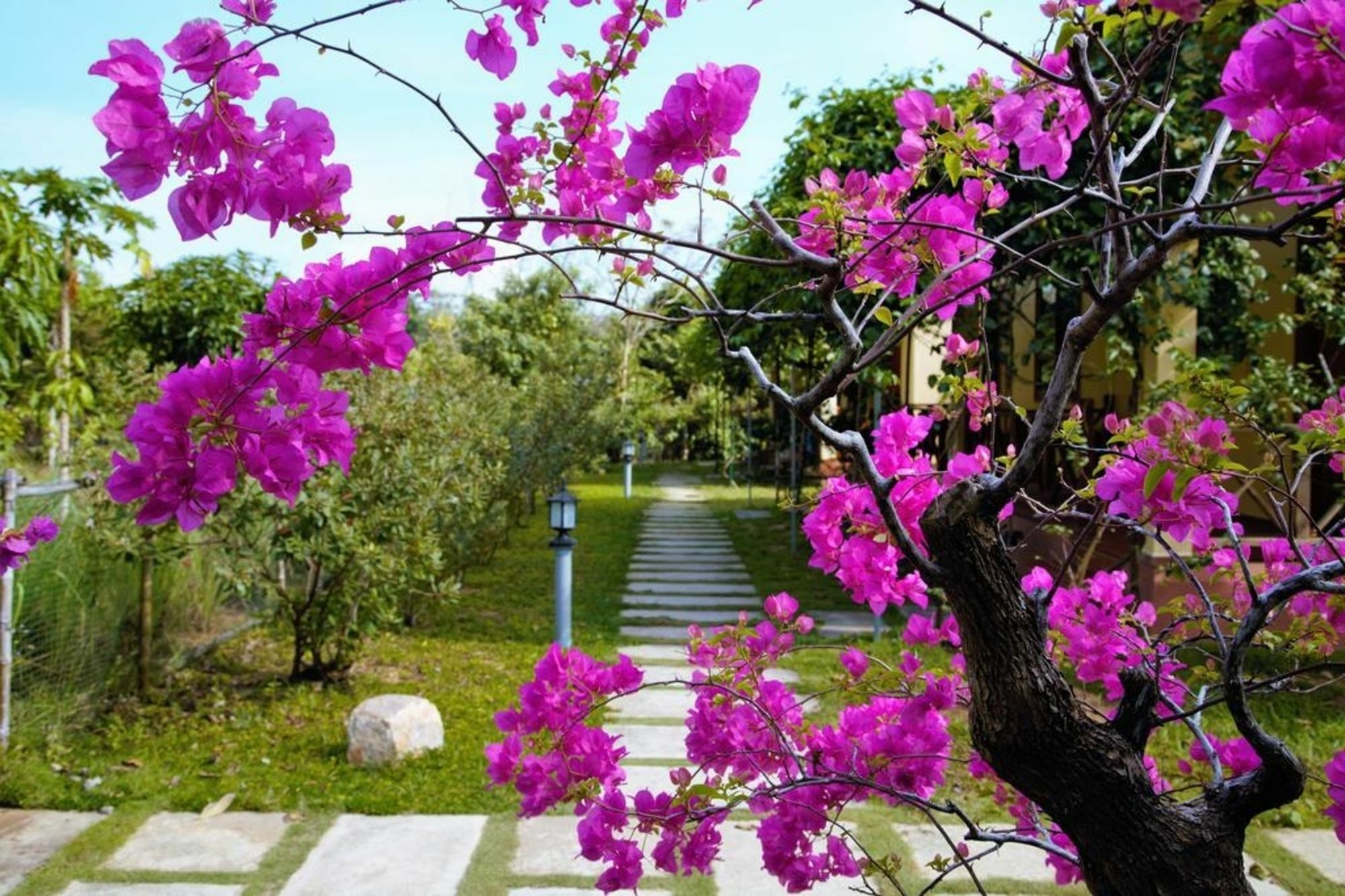 Spring Garden Homestay Phu Quoc Buitenkant foto