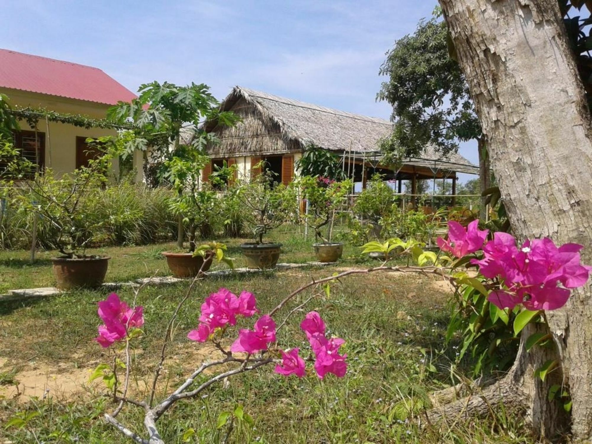 Spring Garden Homestay Phu Quoc Buitenkant foto