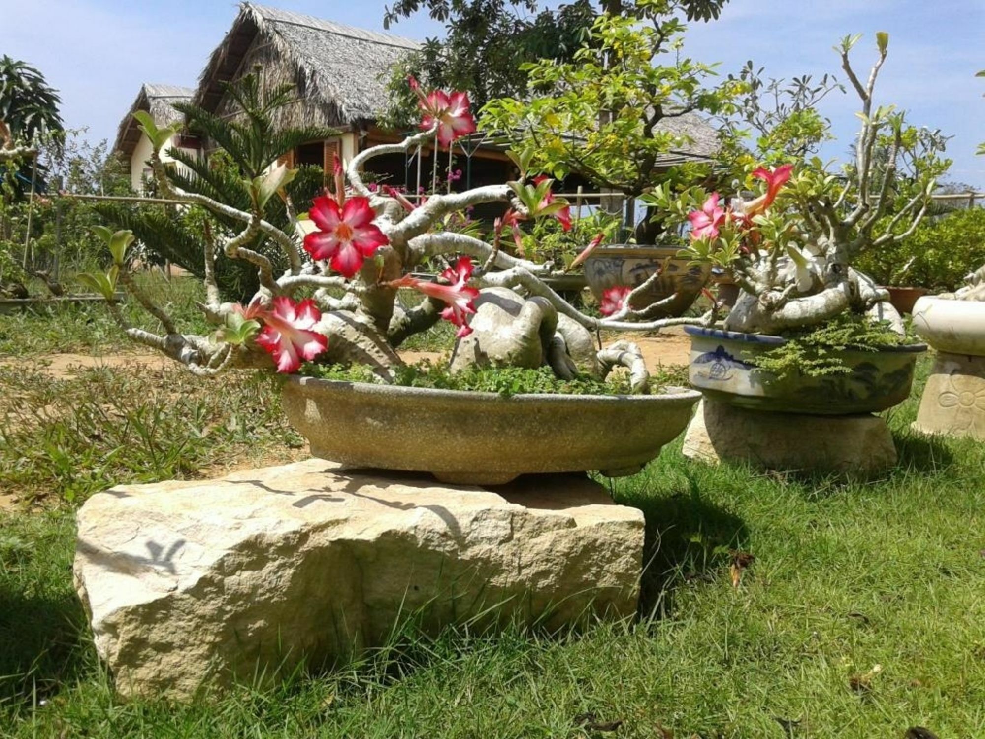 Spring Garden Homestay Phu Quoc Buitenkant foto