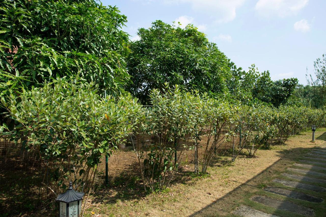 Spring Garden Homestay Phu Quoc Buitenkant foto