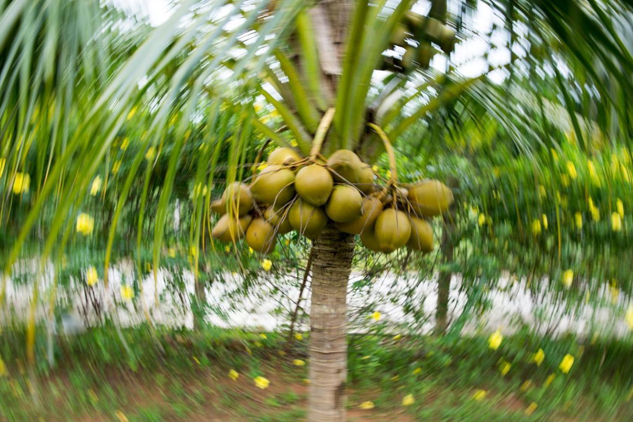 Spring Garden Homestay Phu Quoc Buitenkant foto